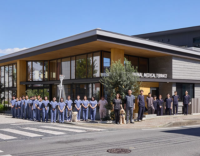 明るく清潔感のある動物病院で、皆様をあたたかくお迎えいたします。