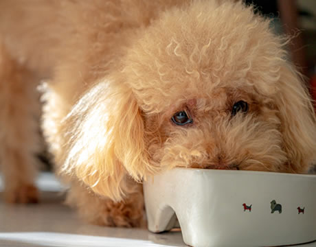 大切なのは、早期発見・早期治療。