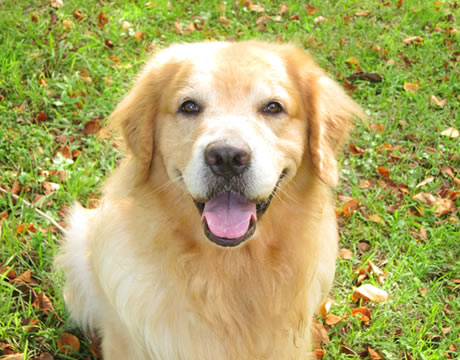 お口のケアは健康管理の基本