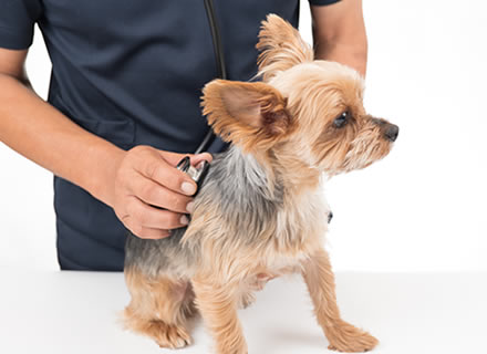 大切なのは、早期発見・早期治療。