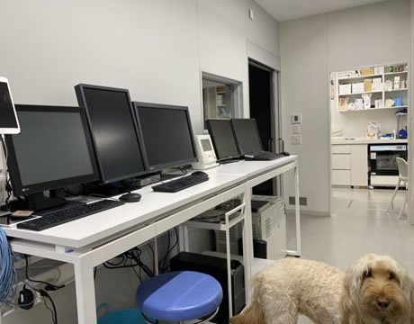 画像管理（3D-LAB）