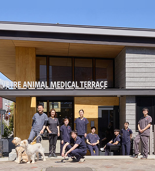 獣医師 副院長(皮膚科長) 押田 博子