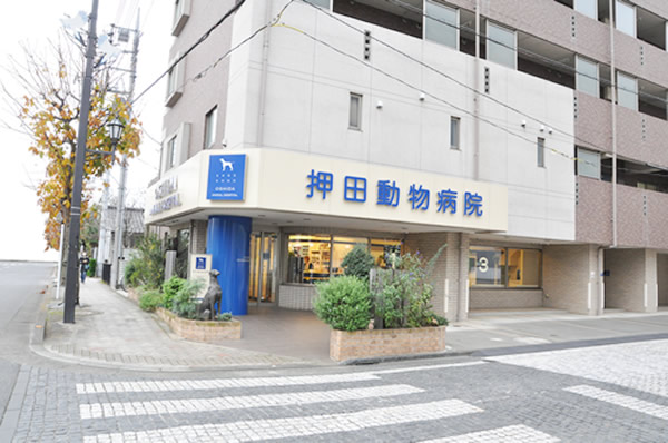 押田動物病院