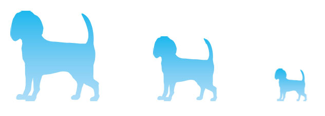 犬画像